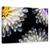 Tablou canvas - Triada, Natura moarta, Petale, Geometrie, Simplitate, Marime: 80 x 120 cm - - Roveli