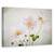 Tablou canvas - Anemone, Natura moarta, Textura, Petale, Marime: 80 x 120 cm - - Roveli