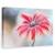 Tablou canvas - Margareta rosie, Flori, Frumusete, Planta, Marime: 80 x 120 cm - - Roveli