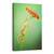 Tablou Canvas - Alpinist, Broasca, Urca, Floare, Gerbera, Animale, Marime: 80 x 120 cm - - Roveli