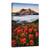 Tablou Canvas - Inflorit, Rasarit De Soare, Munte, Floare, Ceata, Dimineata, Marime: 80 x 120 cm - - Roveli