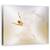 Tablou Canvas - Fluture, Marime: 60 x 75 cm - - Roveli