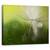 Tablou Canvas - Umbre In Verde, Marime: 60 x 75 cm - - Roveli