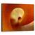 Tablou Canvas - Curba, Marime: 60 x 75 cm - - Roveli