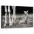 Tablou Canvas - Protejat, Marime: 50 x 80 cm - - Roveli