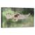 Tablou Canvas - Aripi, Marime: 50 x 100 cm - - Roveli