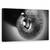 Tablou Canvas - Portbagaj, Marime: 50 x 80 cm - - Roveli