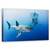 Tablou Canvas - Animale In Cusca, Marime: 50 x 80 cm - - Roveli