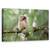 Tablou Canvas - Bufnita Pigmeu, Marime: 50 x 80 cm - - Roveli