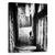 Tablou Canvas - Vanator Tacut, Marime: 60 x 75 cm - - Roveli