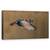 Tablou Canvas - Ratoi In Zbor, Marime: 50 x 100 cm - - Roveli