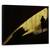 Tablou Canvas - Umbra, Marime: 60 x 75 cm - - Roveli
