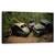 Tablou Canvas - Cimitirul De Masini Din Padure, Marime: 50 x 100 cm - - Roveli