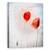 Tablou Canvas - Campurile Flandrei, Marime: 60 x 75 cm - - Roveli