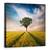 Tablou Canvas - Unul, Marime: 90 x 90 cm - - Roveli