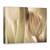 Tablou Canvas - Lalele, Marime: 75 x 100 cm - - Roveli