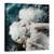 Tablou Canvas - Spirite Ale Campului De Iarna, Marime: 90 x 90 cm - - Roveli
