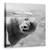 Tablou Canvas - Bule, Marime: 90 x 90 cm - - Roveli