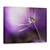 Tablou Canvas - In Nuante De Violet, Marime: 75 x 100 cm - - Roveli