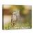 Tablou Canvas - Ultima Lumina Din Cuib, Marime: 75 x 100 cm - - Roveli