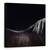 Tablou Canvas - Calul Gol, Marime: 90 x 90 cm - - Roveli