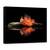 Tablou Canvas - Culori De Toamna, Marime: 75 x 100 cm - - Roveli