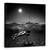Tablou Canvas - Scufundare, Marime: 90 x 90 cm - - Roveli