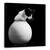 Tablou Canvas - Chanel, Marime: 90 x 90 cm - - Roveli