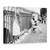 Tablou Canvas - L&H, Marime: 75 x 100 cm - - Roveli