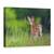 Tablou Canvas - Primavara Cafenie, Marime: 75 x 100 cm - - Roveli