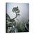 Tablou Canvas - In Ciuda Greutatilor, Marime: 75 x 100 cm - - Roveli