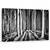 Tablou Canvas - Padurea Fantoma, Marime: 50 x 80 cm - - Roveli