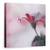 Tablou Canvas - Atingere Invizibila, Marime: 90 x 90 cm - - Roveli