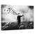 Tablou Canvas - Libertate, Marime: 60 x 90 cm - - Roveli