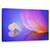 Tablou Canvas - Mesaj Pe Frunza, Marime: 50 x 80 cm - - Roveli