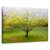 Tablou Canvas - Pisica De Langa Copac, Marime: 60 x 90 cm - - Roveli