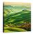 Tablou Canvas - Mucigliani, Marime: 90 x 90 cm - - Roveli