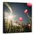 Tablou Canvas - A Venit Vara, Marime: 90 x 90 cm - - Roveli