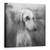 Tablou Canvas - Toamna, Marime: 90 x 90 cm - - Roveli
