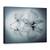 Tablou Canvas - Frumusete Efemera, Marime: 75 x 100 cm - - Roveli