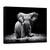 Tablou Canvas - Putere, Marime: 75 x 100 cm - - Roveli