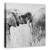 Tablou Canvas - Itrunk, Marime: 90 x 90 cm - - Roveli