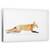 Tablou Canvas - Vulpe Rosie - Algonquin Park, Marime: 50 x 80 cm - - Roveli