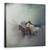 Tablou Canvas - Caii Pierduti, Marime: 90 x 90 cm - - Roveli