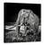 Tablou Canvas - Apus La Waterhole, Marime: 90 x 90 cm - - Roveli