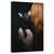 Tablou Canvas - Sebastian, Marime: 50 x 80 cm - - Roveli