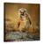 Tablou Canvas - Ce Mai Faci?, Marime: 90 x 90 cm - - Roveli