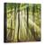 Tablou Canvas - Sunny Incepe Ziua, Marime: 90 x 90 cm - - Roveli