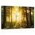 Tablou Canvas - Lumina In Padure, Marime: 50 x 80 cm - - Roveli