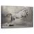 Tablou Canvas - Parical, Marime: 50 x 80 cm - - Roveli